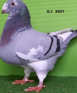 20211101_162508