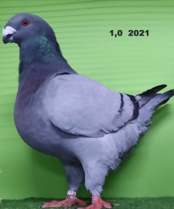 20211101_163330
