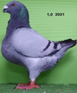 20211101_163547