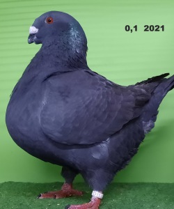 20211101_163759