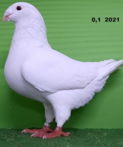20211101_164003