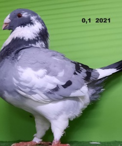 20211101_165137