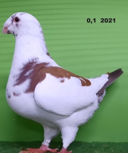 20211101_165452
