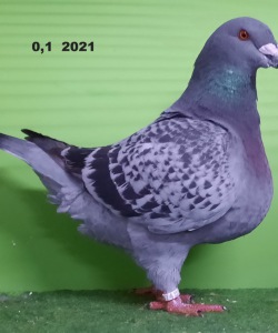 20211101_165912