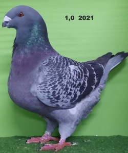 20211101_170140