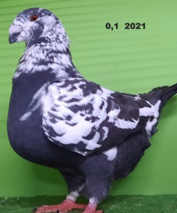20211101_170317