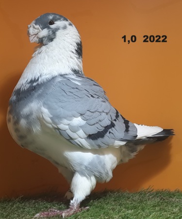 1055