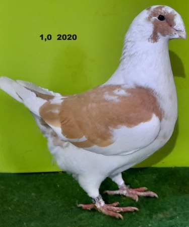 20201209_112143