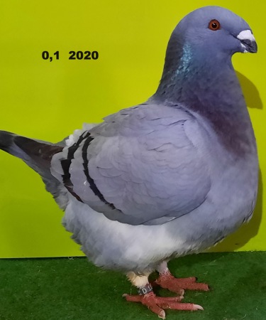 20201209_113946