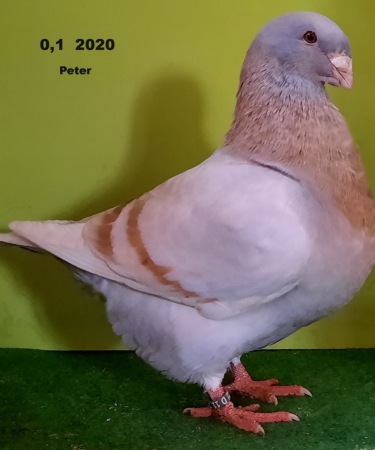 20201214_131939