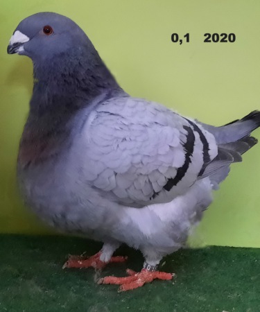 20210128_161108