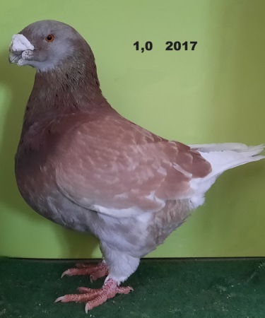 20210128_161424