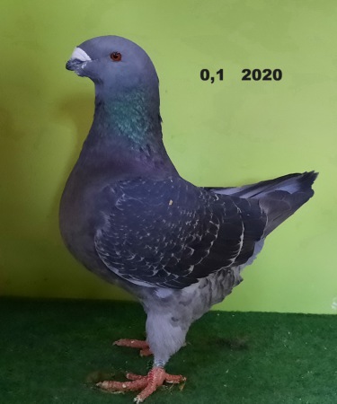 20210207_132555