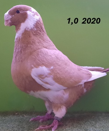 20221230_090919