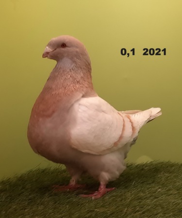 20231104_115249
