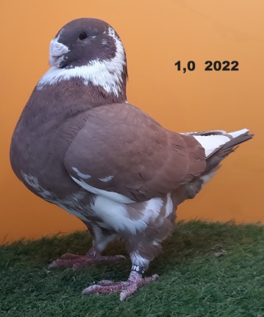 20231117_140640