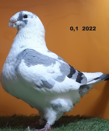 20241116_152627