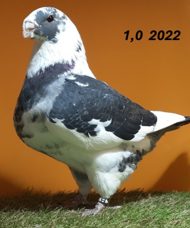 20241220_165316