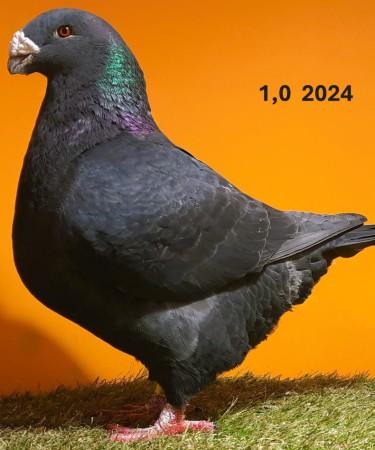 20241224_101316