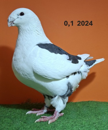 20251117_102554