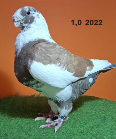 20251117_103119