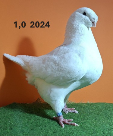 20251117_104649