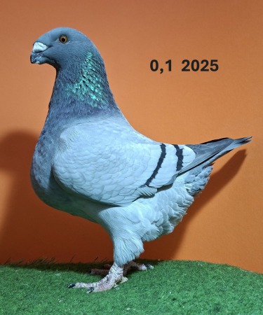 20251117_110948