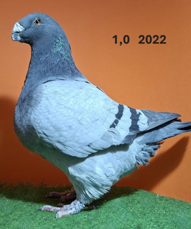20251117_141521