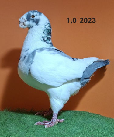 20251117_142001