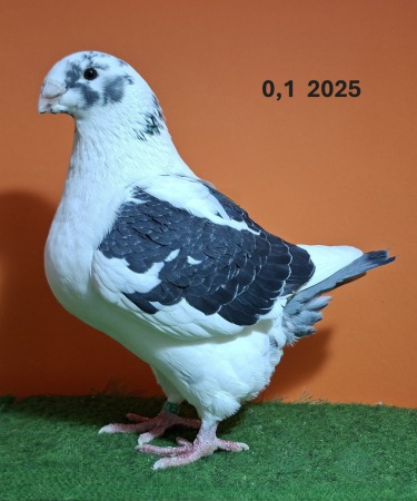 20251117_145358