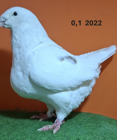 20251117_152318