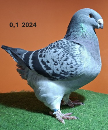20251117_153934