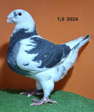 20251117_161654