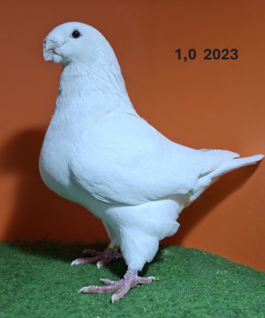 20251117_161843