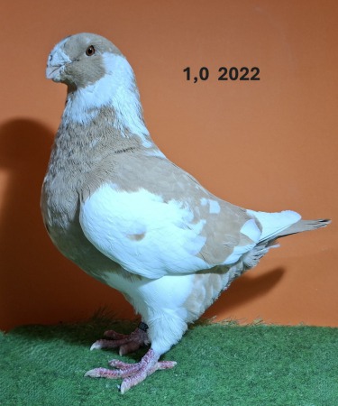 20251118_180012