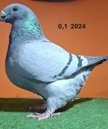 20251119_174455