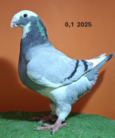 20251211_145800