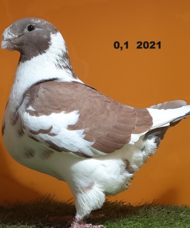 90