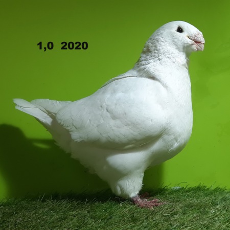 20240206_183048