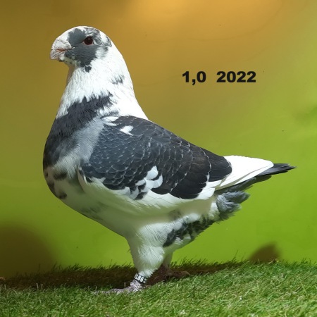103