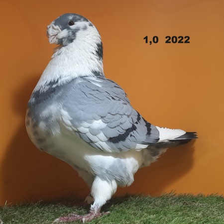 1055
