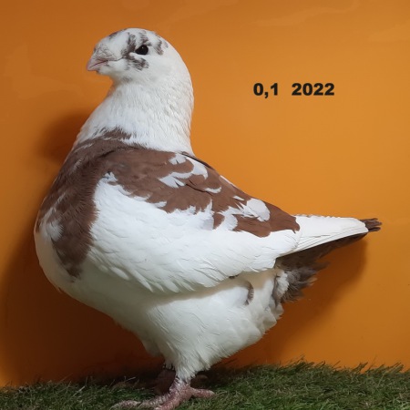 184