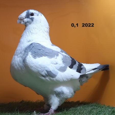 188
