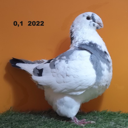 1_192