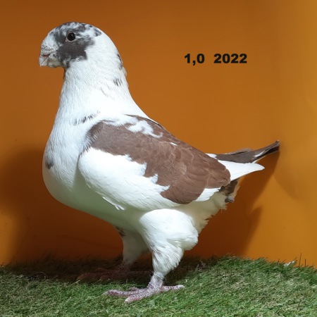 1_441