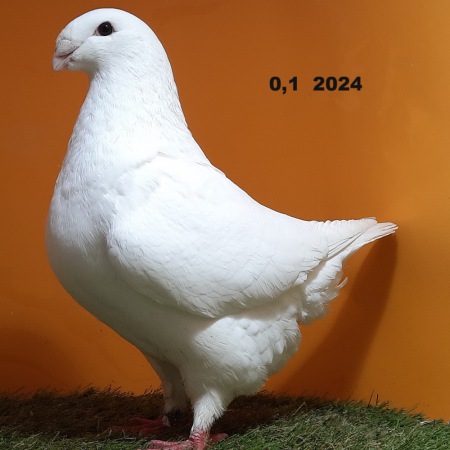 1_642