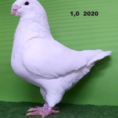 20211101_102604