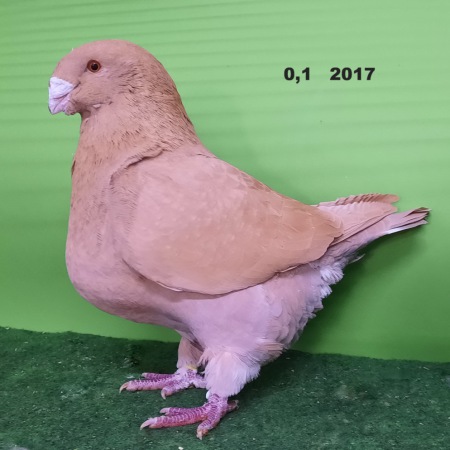 20211106_145142