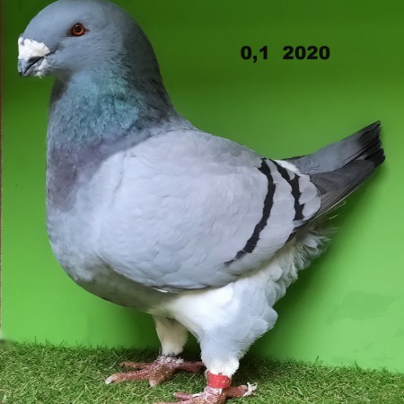 20221111_101655