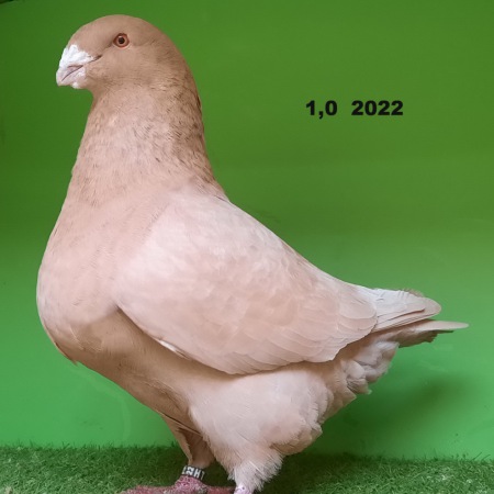 20221114_140924
